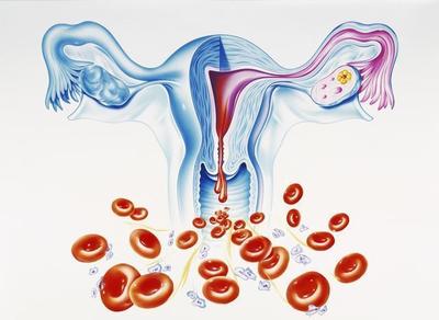 月經一般來幾天算正常？從周期與生殖激素角度解讀你的健康狀況