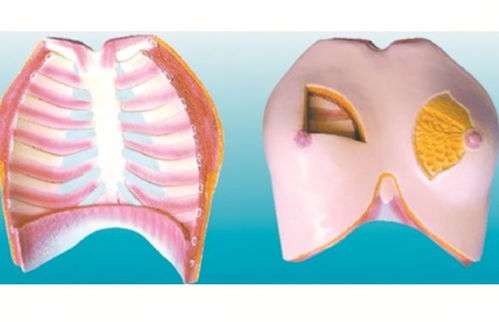 晚上經常吸女性乳房，健康嗎？醫生提醒男人 放過妻子吧